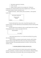 Vizitinės kortelės ir jų naudojimas 8 puslapis