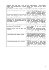 Vokietijos kultūros savitumai ir nacionaliniai ypatumai 11 puslapis