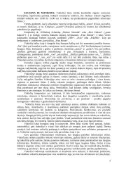 Vokietijos kultūros savitumai ir nacionaliniai ypatumai 3 puslapis