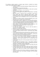 Vokietijos kultūros savitumai ir nacionaliniai ypatumai 4 puslapis