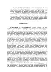 Vokietijos kultūros savitumai ir nacionaliniai ypatumai 5 puslapis