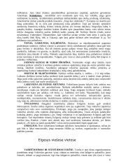 Vokietijos kultūros savitumai ir nacionaliniai ypatumai 6 puslapis