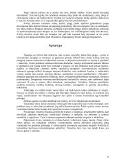 Vokietijos kultūros savitumai ir nacionaliniai ypatumai 8 puslapis