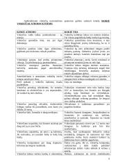 Vokietijos kultūros savitumai ir nacionaliniai ypatumai 9 puslapis