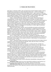 Žiniasklaidos įtaka asmenybės socializacijai 2 puslapis