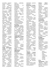 Kūno kultūros istorijos medžiaga 4 puslapis