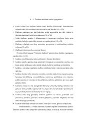 6–12 mėnesių kūdikio aplinkos pažinimas ranka 15 puslapis
