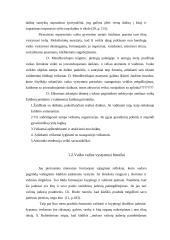 6–12 mėnesių kūdikio aplinkos pažinimas ranka 10 puslapis