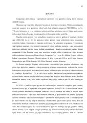 Spirituoto vyno gamybos skyrius 11 puslapis