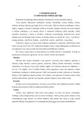Spirituoto vyno gamybos skyrius 13 puslapis