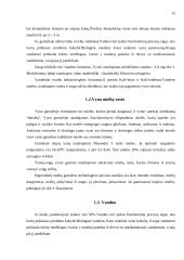Spirituoto vyno gamybos skyrius 15 puslapis