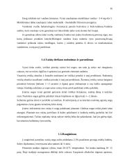 Spirituoto vyno gamybos skyrius 16 puslapis
