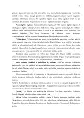 Spirituoto vyno gamybos skyrius 18 puslapis