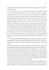 Spirituoto vyno gamybos skyrius 20 puslapis
