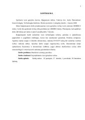 Spirituoto vyno gamybos skyrius 5 puslapis