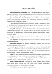 Spirituoto vyno gamybos skyrius 7 puslapis