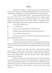 Akcinė bendrovė: samprata ir būdingi bruožai 2 puslapis