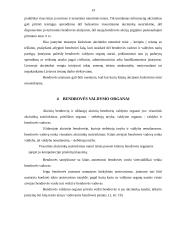 Akcinė bendrovė: samprata ir būdingi bruožai 13 puslapis