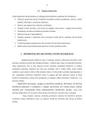 Akcinė bendrovė: samprata ir būdingi bruožai 10 puslapis