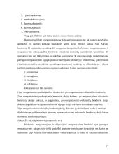 Akcinės bendrovės steigimo, teisinio statuso ir atsakomybės lyginamoji analizė 11 puslapis