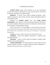 Akcinės bendrovės steigimo, teisinio statuso ir atsakomybės lyginamoji analizė 4 puslapis