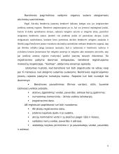 Akcinės bendrovės steigimo, teisinio statuso ir atsakomybės lyginamoji analizė 9 puslapis