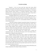 Bendrojo ir centrinio nutukimo priežastys 3 puslapis