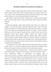 Finansiniai teisiniai santykiai 13 puslapis