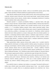 Finansiniai teisiniai santykiai 16 puslapis