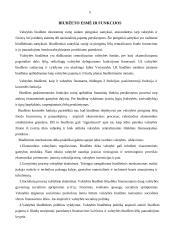 Finansiniai teisiniai santykiai 5 puslapis