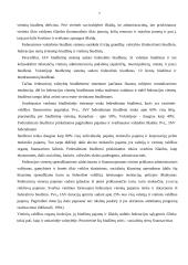 Finansiniai teisiniai santykiai 7 puslapis