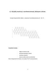 Geodezinės atramos sudarymas aerotrianguliacijos metodu skaitmeniniam fotogrametriniam kartografavimui 5 puslapis