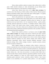 Bankroto įstatymas bei jį lydintys dokumentai ir įvairūs prekių audito aspektai 12 puslapis