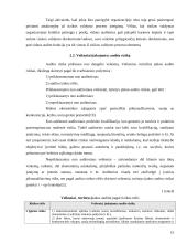 Bankroto įstatymas bei jį lydintys dokumentai ir įvairūs prekių audito aspektai 14 puslapis