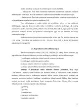 Bankroto įstatymas bei jį lydintys dokumentai ir įvairūs prekių audito aspektai 16 puslapis