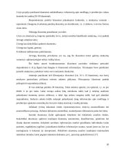 Bankroto įstatymas bei jį lydintys dokumentai ir įvairūs prekių audito aspektai 19 puslapis