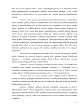 Bankroto įstatymas bei jį lydintys dokumentai ir įvairūs prekių audito aspektai 7 puslapis