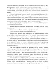 Individuali įmonė Lietuvoje 17 puslapis