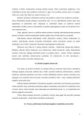 Individuali įmonė Lietuvoje 5 puslapis