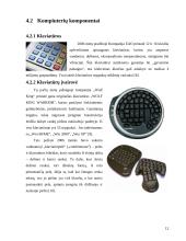 Informacinių technologijų perspektyvos 2004-2008 metais 12 puslapis