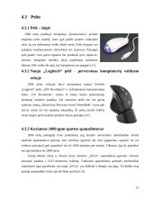 Informacinių technologijų perspektyvos 2004-2008 metais 13 puslapis