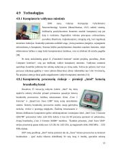 Informacinių technologijų perspektyvos 2004-2008 metais 19 puslapis