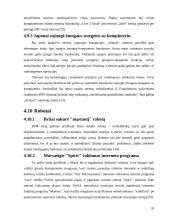 Informacinių technologijų perspektyvos 2004-2008 metais 20 puslapis
