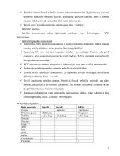 Informacinių technologijų perspektyvos 2004-2008 metais 5 puslapis