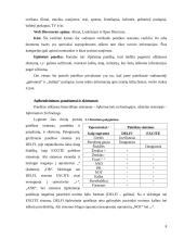 Informacinių technologijų perspektyvos 2004-2008 metais 8 puslapis