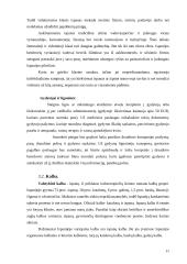 Ispanijos gyvenimas 11 puslapis