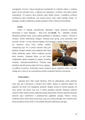 Ispanijos gyvenimas 14 puslapis