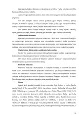 Ispanijos gyvenimas 16 puslapis