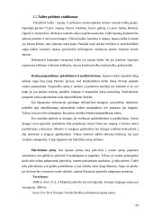 Ispanijos gyvenimas 20 puslapis