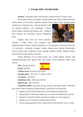 Ispanijos gyvenimas 3 puslapis